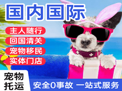 敦煌机场货运国际宠物托运 【国